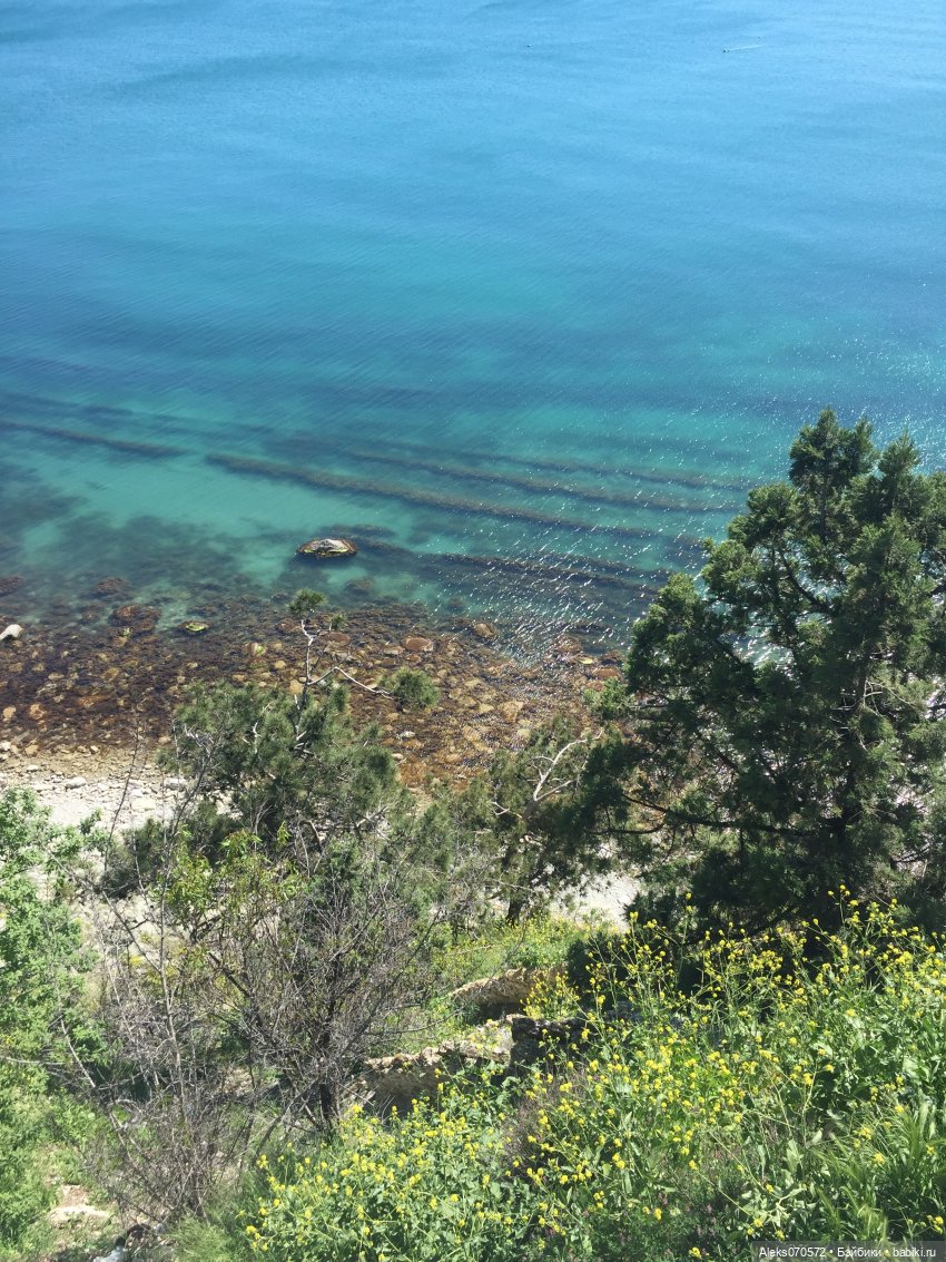 «Тот, кто хочет петь, всегда найдет песню!» (точнее, свинья везде грязь найдет) (фото 5)