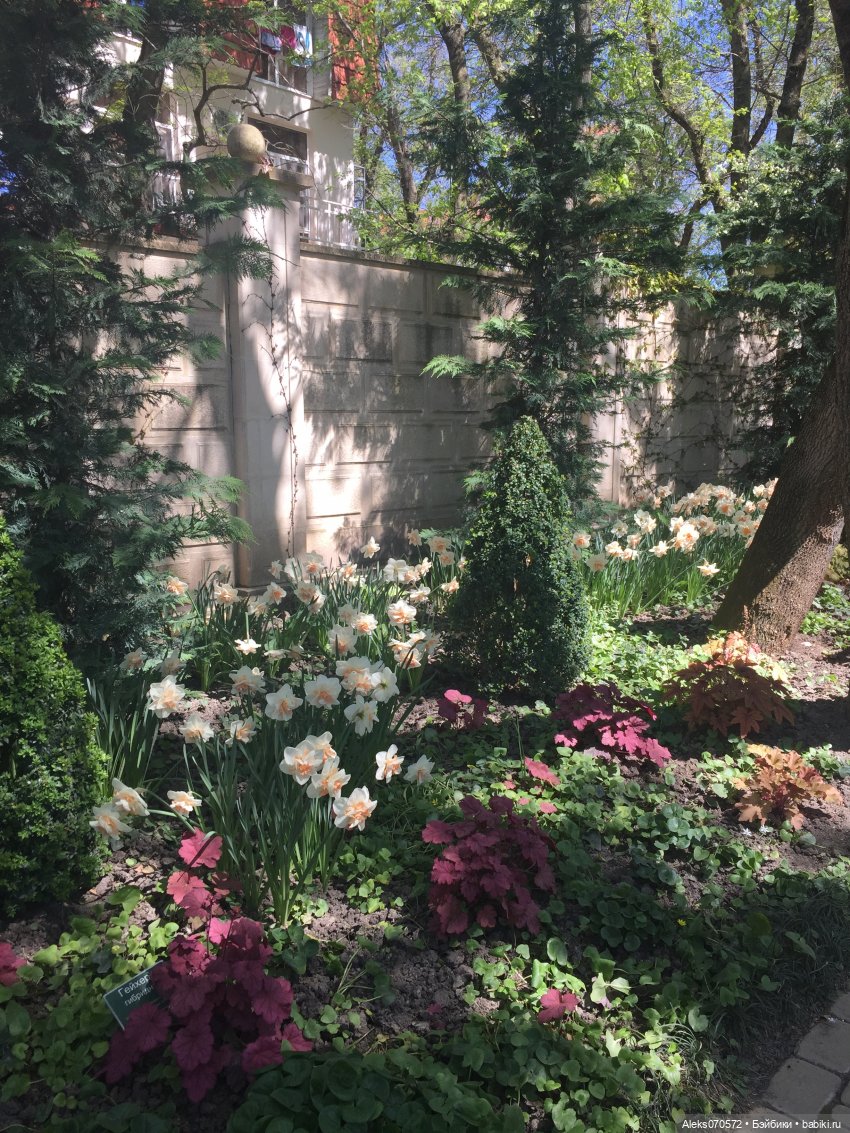 «Тот, кто хочет петь, всегда найдет песню!» (точнее, свинья везде грязь найдет)