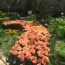 «Тот, кто хочет петь, всегда найдет песню!» (точнее, свинья везде грязь найдет)