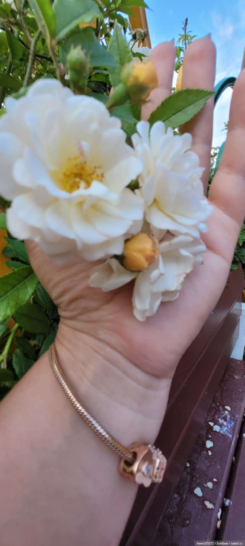 Рыженькое солнышко. Крикетт Линды Мейсон (фото 10)