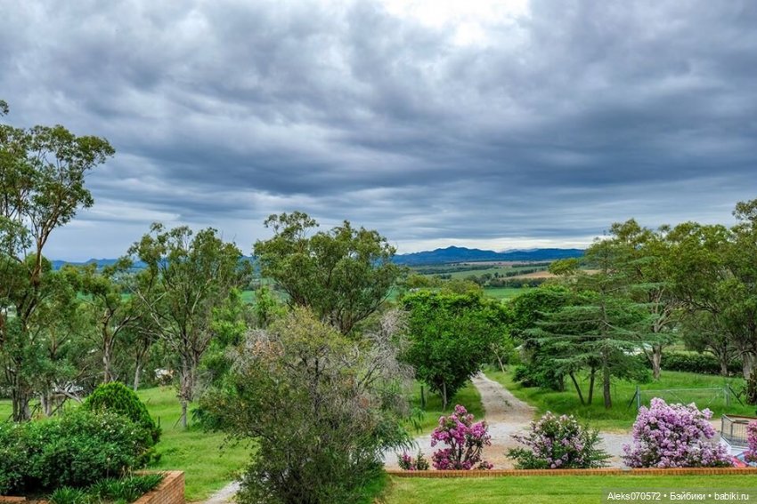 Девочки-звездочки Кайе Виггс. Любовь или забвение (фото 6)