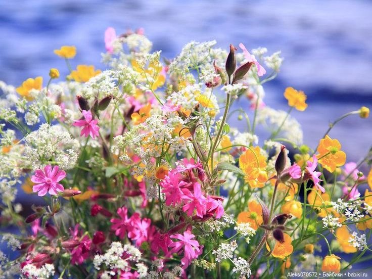 Мэнди Кайе Виггс . Одна и та же кукла БЖД и в фарфоре (фото 10)