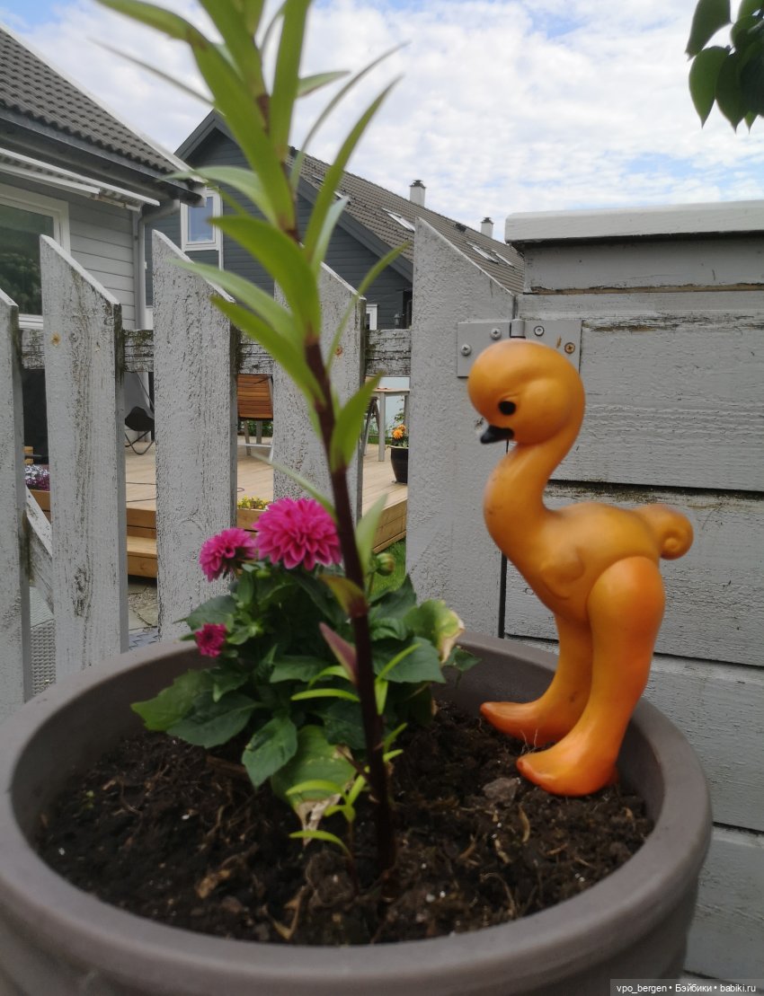 Игрушки или искусство? - 3 (фото 2)