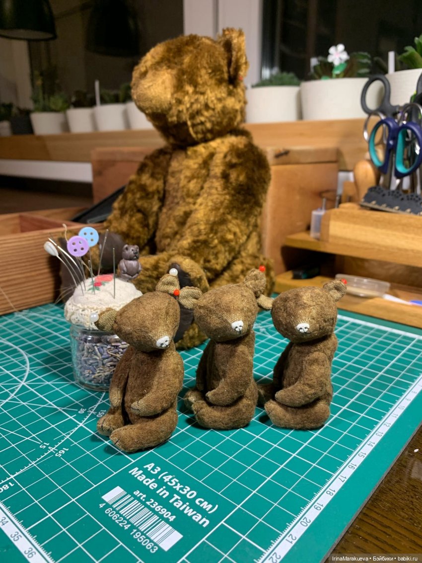 Тедди. Одна голова хорошо