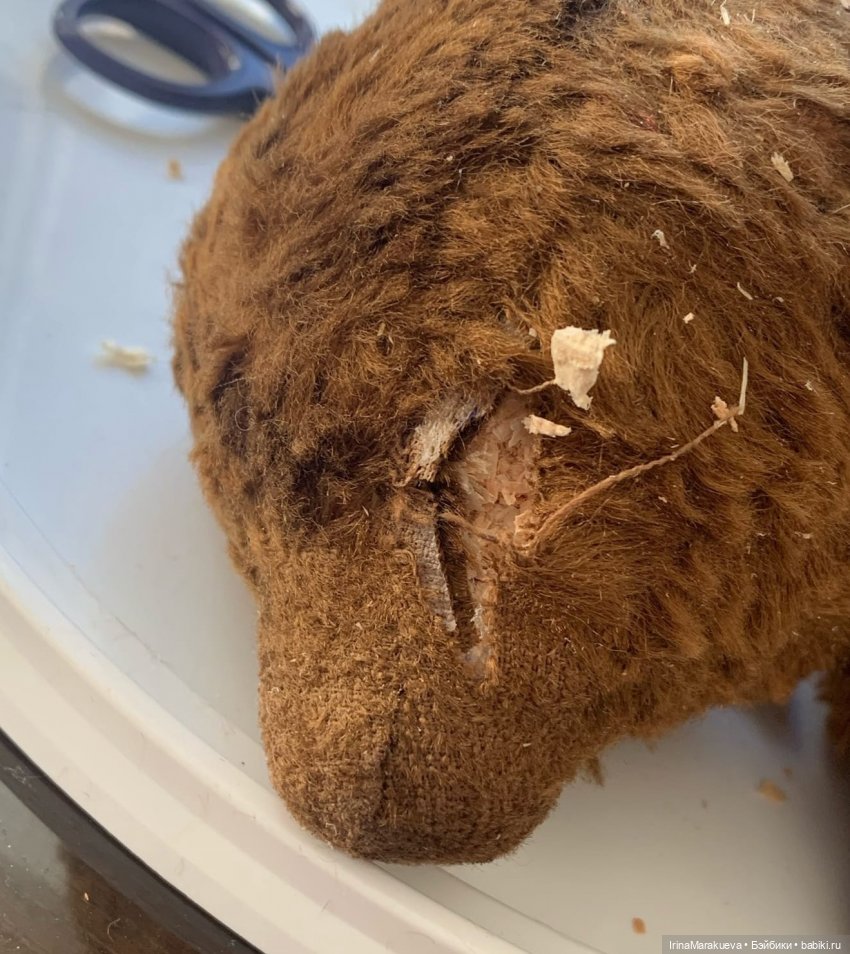 Тедди. Одна голова хорошо (фото 4)