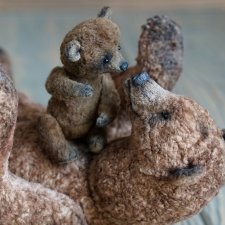 Сюрприз после спячки.