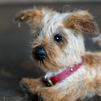 Преданный друг