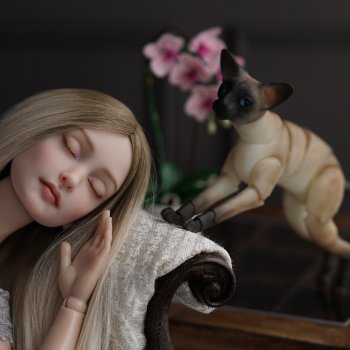 Dream. Спящая красавица.