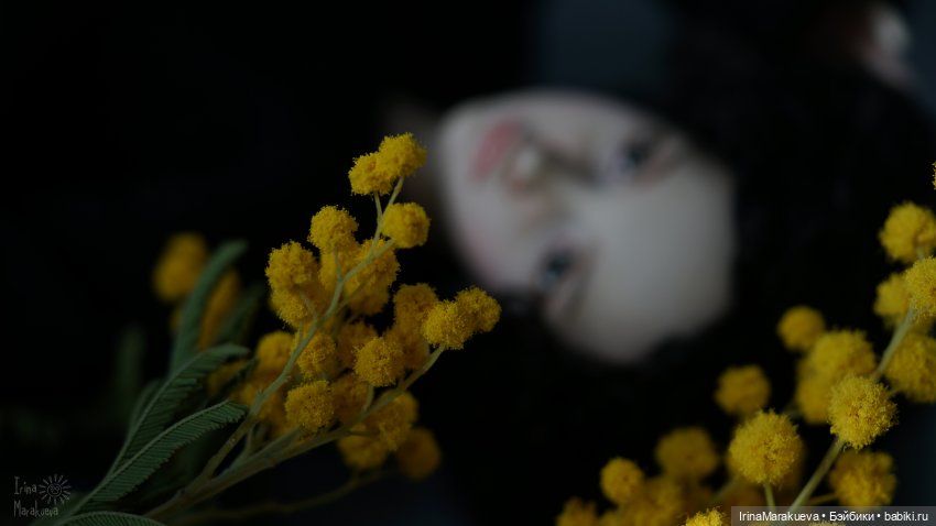 У каждого Мастера своя Маргарита... (Зая, автор Наталья Лосева)