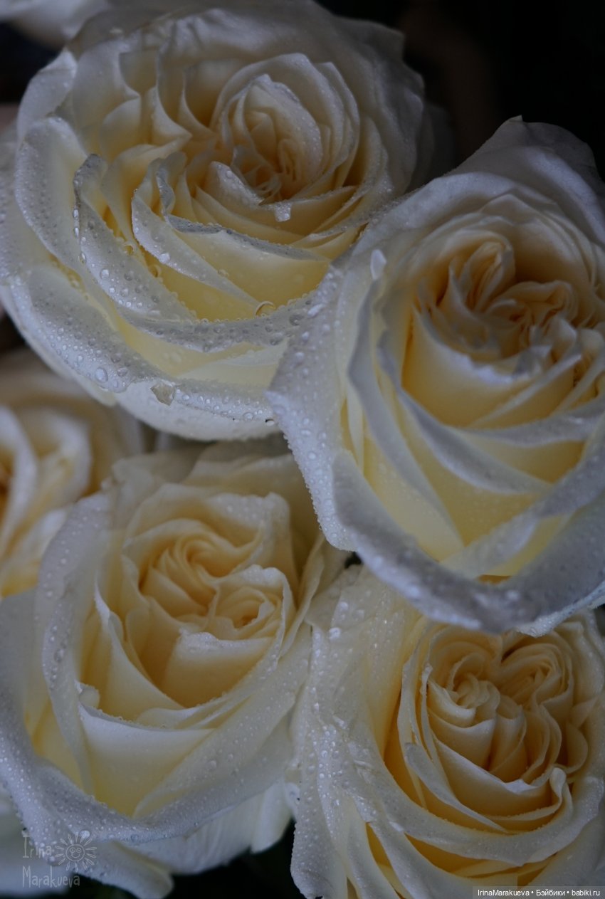 Зая и розы. (Автор куклы Наталья Лосева)