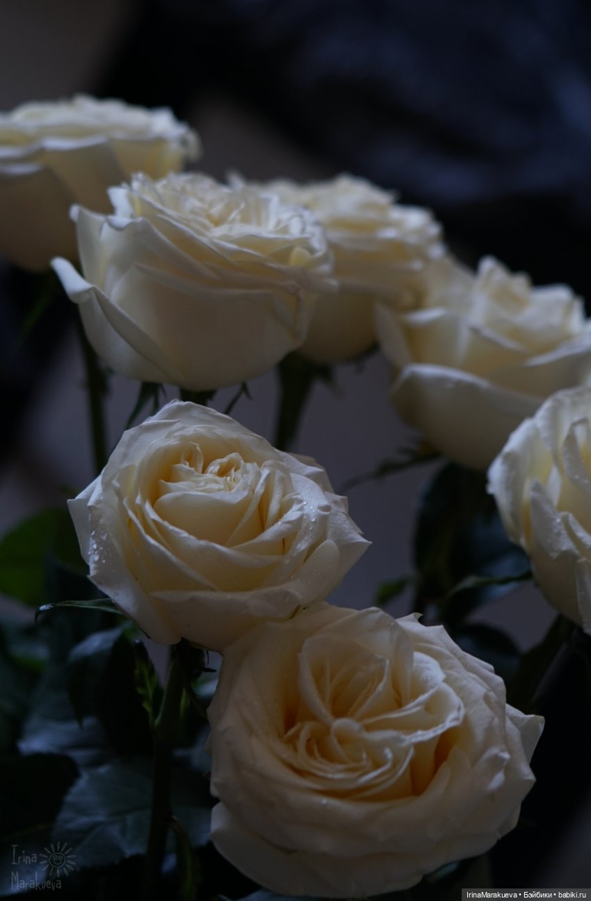 Зая и розы. (Автор куклы Наталья Лосева)