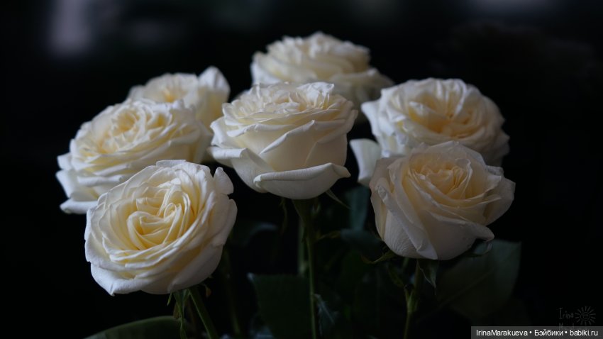 Зая и розы. (Автор куклы Наталья Лосева)