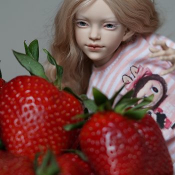 Morphingon Elf . Ягодные Эльфы просыпаются....