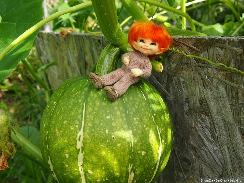 Дела огородные | Бэйбики Дела огородные — Куклы Fairyland (ФэйриЛэнд): BJD (БЖД) (фото 3)