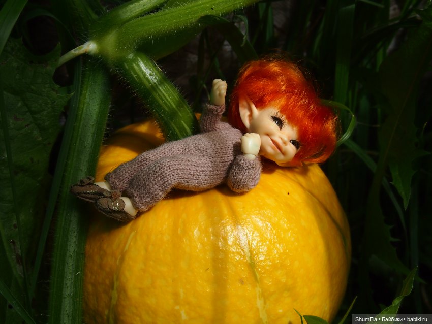 Дела огородные | Бэйбики Дела огородные — Куклы Fairyland (ФэйриЛэнд): BJD (БЖД) (фото 4)