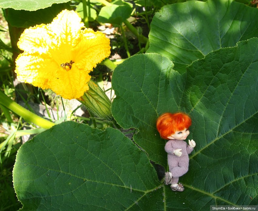 Дела огородные | Бэйбики Дела огородные — Куклы Fairyland (ФэйриЛэнд): BJD (БЖД) (фото 5)