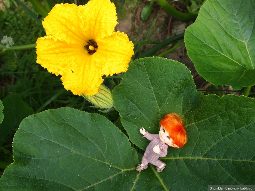 Дела огородные | Бэйбики Дела огородные — Куклы Fairyland (ФэйриЛэнд): BJD (БЖД) (фото 6)