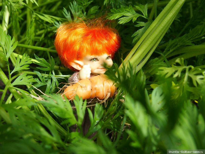 Дела огородные | Бэйбики Дела огородные — Куклы Fairyland (ФэйриЛэнд): BJD (БЖД) (фото 7)