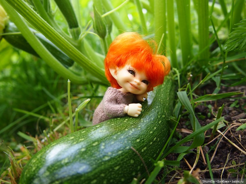 Дела огородные | Бэйбики Дела огородные — Куклы Fairyland (ФэйриЛэнд): BJD (БЖД) (фото 9)