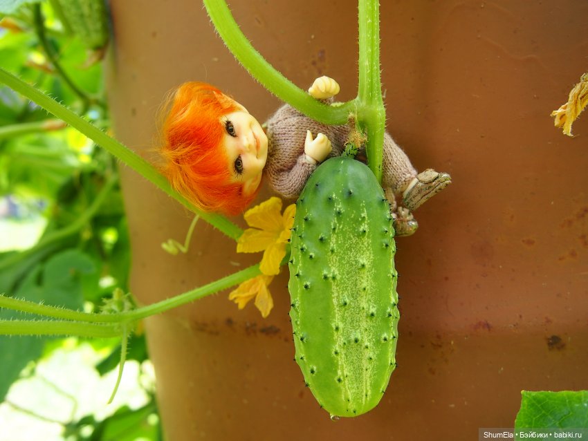 Дела огородные | Бэйбики Дела огородные — Куклы Fairyland (ФэйриЛэнд): BJD (БЖД) (фото 2)