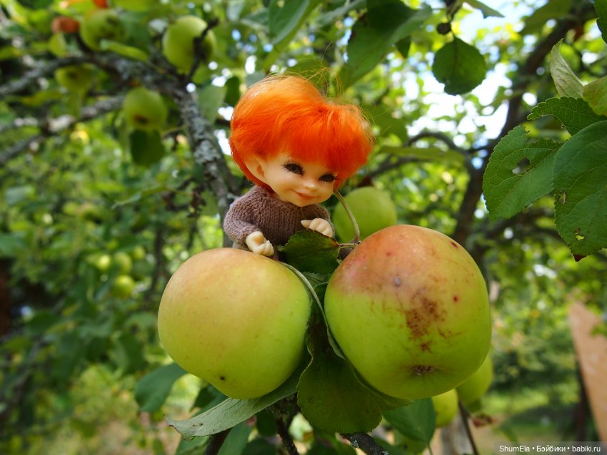 Дела огородные | Бэйбики Дела огородные — Куклы Fairyland (ФэйриЛэнд): BJD (БЖД)