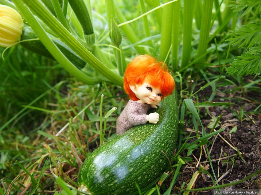 Дела огородные — Куклы Fairyland (ФэйриЛэнд): BJD (БЖД) (фото 10)