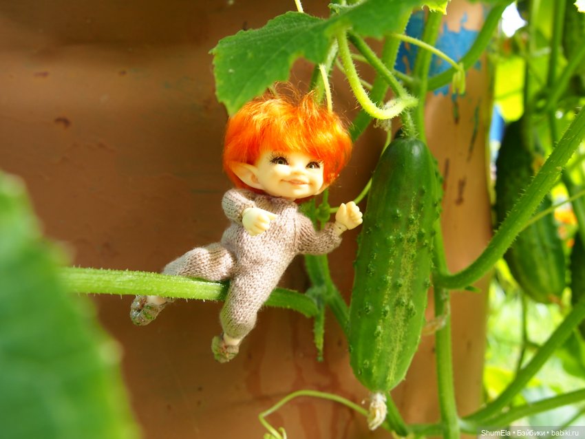 Дела огородные | Бэйбики Дела огородные — Куклы Fairyland (ФэйриЛэнд): BJD (БЖД)