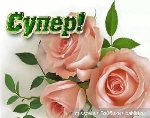 открытка