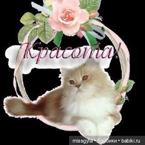 открытка