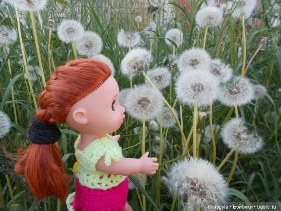 в одуванчиках