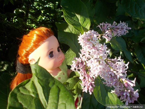 Соня и сирень