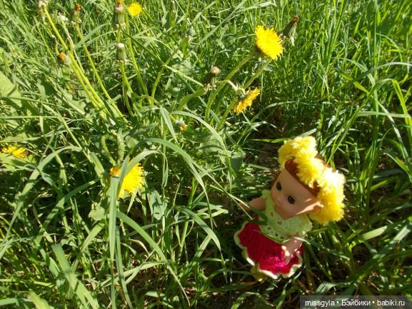 Жёлтые одуванчики