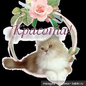 открытка