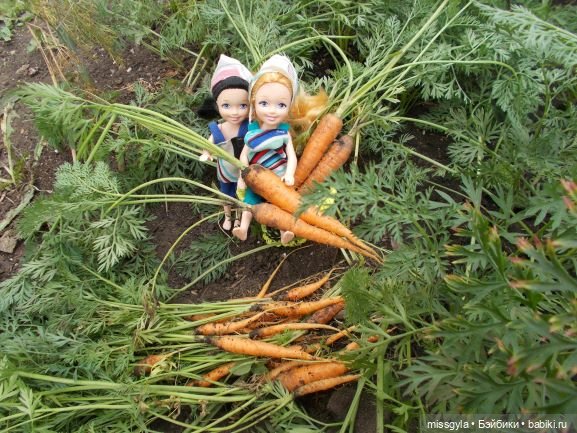 Знакомьтесь: Аделя-эби. Миссис Бэйбики - 2020 (фото 3)