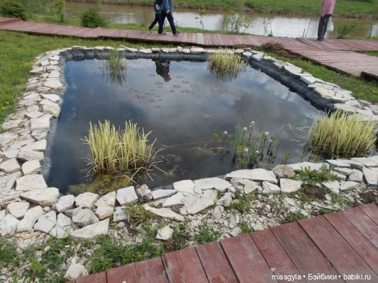 Ботанический сад, 1 июня 2019г.