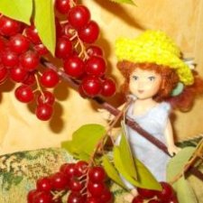 Летние хлопоты и немного о пополнении в кукло-семействе