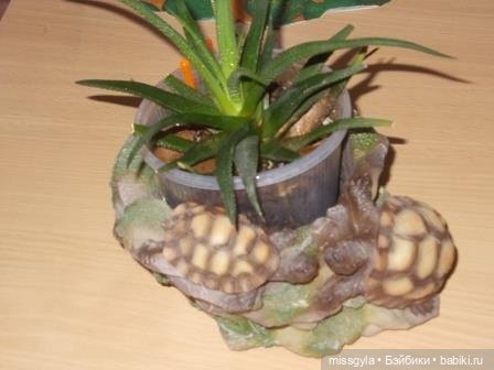 Кто на конкурс пойдёт? ("Мисс Барби-2021") | Бэйбики Кто на конкурс пойдёт? ("Мисс Барби-2021") (фото 6)