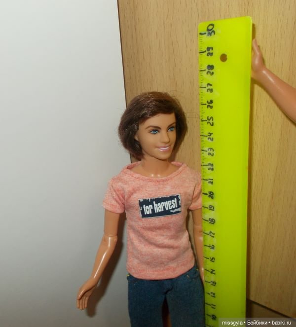 Счастье и на печи найдёт — Куклы Monster High и Ever After High: G1 (фото 3)