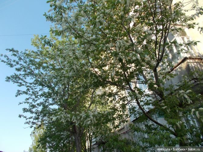 город город