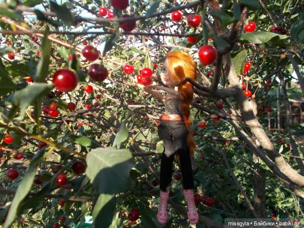 Лето цветочное, вишнёвое, берёзовое (фото 10)