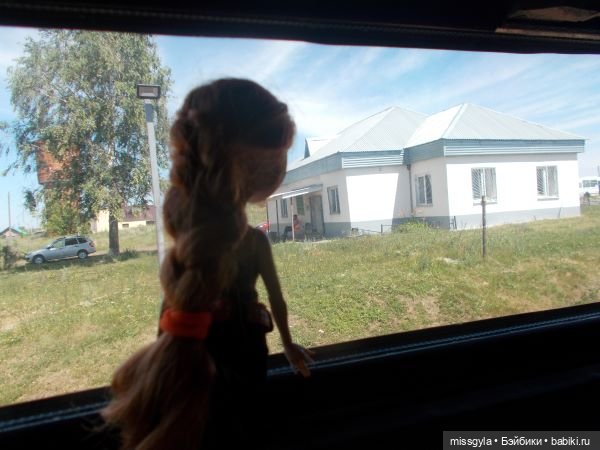 Лето цветочное, вишнёвое, берёзовое (фото 7)