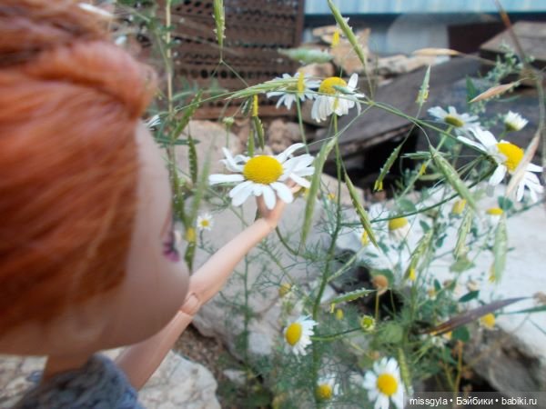 Лето цветочное, вишнёвое, берёзовое (фото 9)