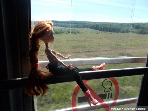 Лето цветочное, вишнёвое, берёзовое (фото 5)