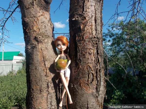 Лето цветочное, вишнёвое, берёзовое