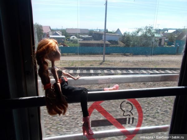 Лето цветочное, вишнёвое, берёзовое (фото 4)