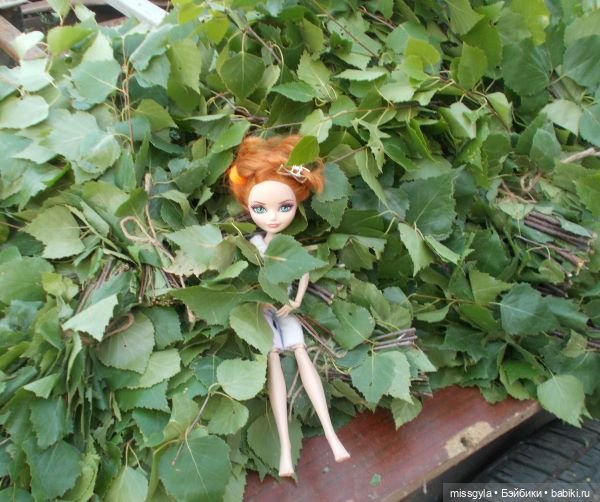 Лето цветочное, вишнёвое, берёзовое