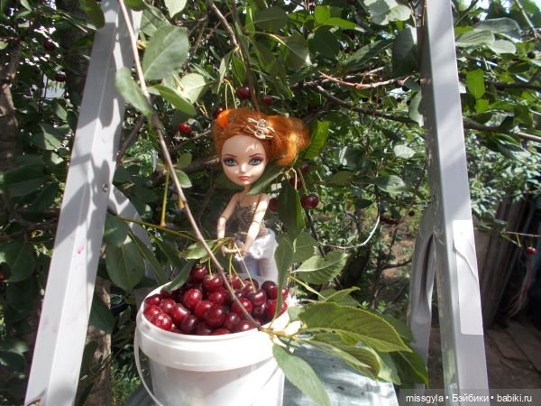 Лето цветочное, вишнёвое, берёзовое