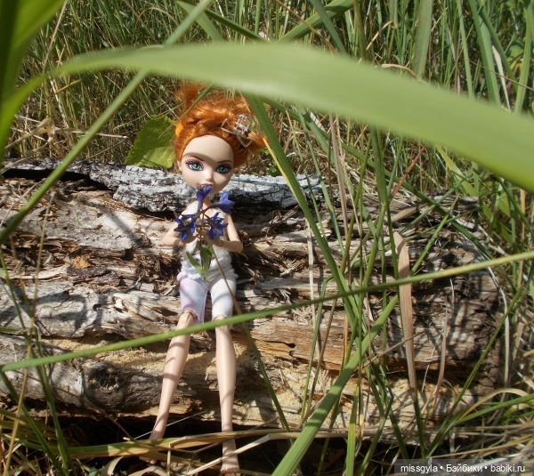 Лето цветочное, вишнёвое, берёзовое