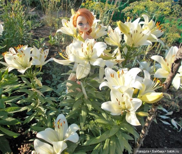 Лето цветочное, вишнёвое, берёзовое (фото 8)
