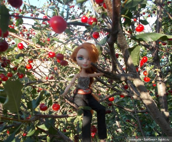 Лето цветочное, вишнёвое, берёзовое